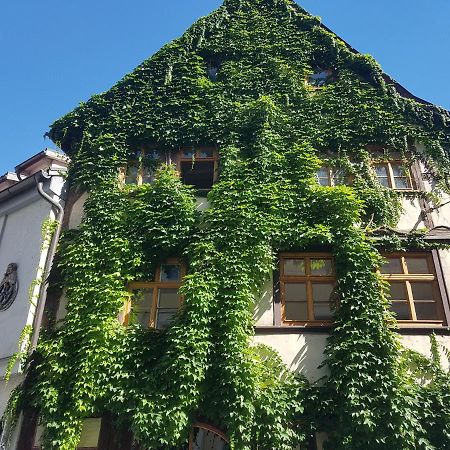 Ferienwohnung Am Erfurter Dom Kültér fotó
